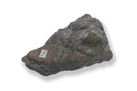 M 07652
<br/>
eenzijdig gepolijst handstuk van Koper (gedegen) metcupriet
<br/>
<em></em>